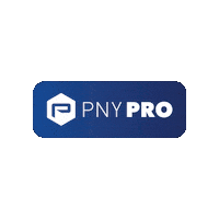 Gtc Sticker by PNY/XLR8