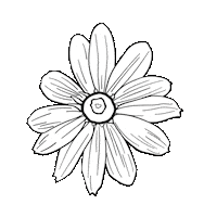 slnp_ sticker white nature flower Sticker