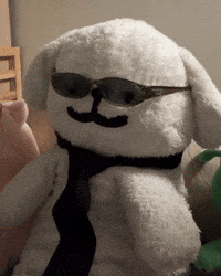 Dog Puppy GIF