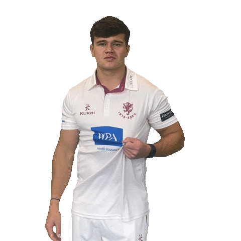 Ball Bat Sticker by Somerset County Cricket Club