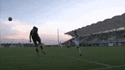 Soccer Save GIF by New Mexico United