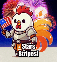 4Th Of July Fireworks GIF by Zorooster