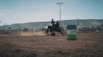Cavenders horse cowgirl rodeo horseback riding GIF