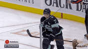 Happy National Hockey League GIF by NHL
