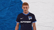 Bundesliga Berlin GIF by Hertha BSC
