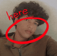Mujuinsta Here GIF