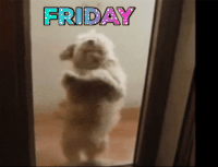 GIF by jenr