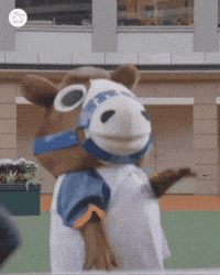 Happy Yeah Boy GIF by World Horse Racing