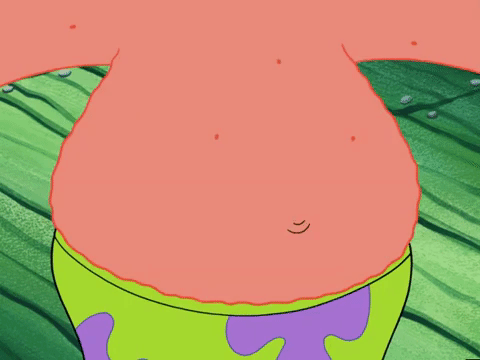 season 5 episode 13 GIF by SpongeBob SquarePants