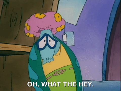rockos modern life nicksplat GIF