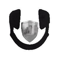 New York Loop Sticker by Nova Sound