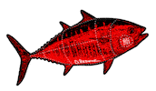 Sushi Bar Sticker by Put Me Outside