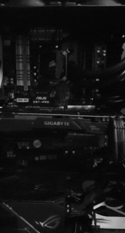 Warrenckc giphygifmaker giphygifmakermobile pc GIF