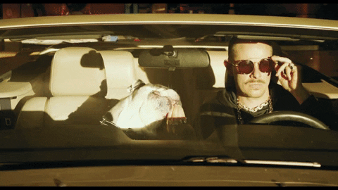 Prof Profgampo GIF by Stophouse Music Group