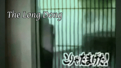 King Kong Poetry GIF by HUPChallenge