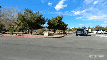 bounce cruisin GIF by Off The Jacks