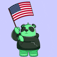 Proud United States GIF by SuperVerse