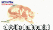 Confused Disbelief GIF by Team Kennedy