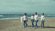 d mol montenegro GIF by Eurovision Song Contest