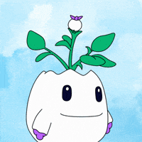 You Got It Yes GIF by Magic Eden