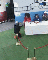 Bbnaija GIF by Big Brother Naija