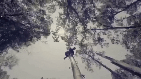 Jesus Student GIF by sugarcreek_students