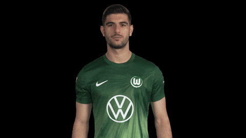 Bundesliga No GIF by VfL Wolfsburg