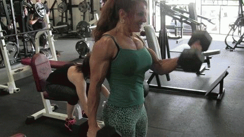 gym GIF
