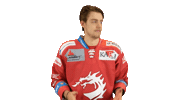 Trinec Sticker by HC Oceláři Třinec