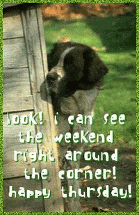 happy the weekend GIF