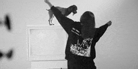 kodieshane dancing dog bts music video GIF