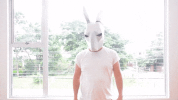 Sr. Bunny went too thirsty (2015)