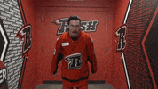 Lets Go Hockey GIF by Rapid City Rush