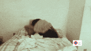 Mascara Pandemia GIF by Todos pela saúde