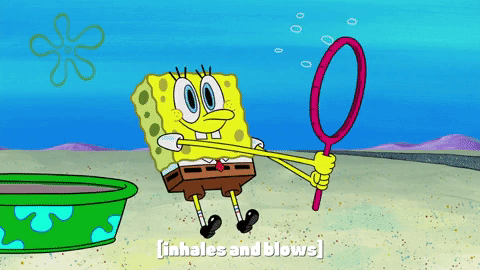 season 10 episode 6 GIF by SpongeBob SquarePants
