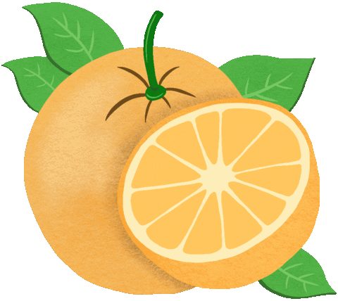 Orange Fruit Sticker by Gryphon Tea