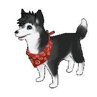 husky Sticker