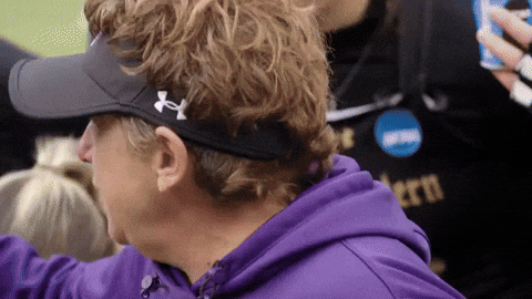 Field Hockey Ncaa GIF by Northwestern Athletics