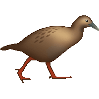 kiwi nz Sticker by Emotiki - The World's First Māori emoji app