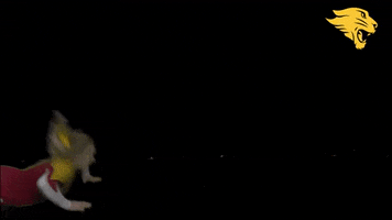 Dazzlers GIF by CUCougars