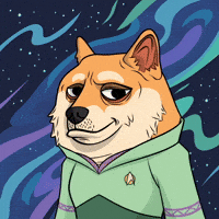 Star Trek Smiling GIF by Doge Pound