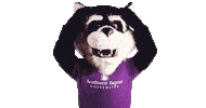 Missouri Bearcat Sticker by Southwest Baptist University