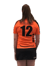 gkvkorfbal sport club dutch korfbal Sticker