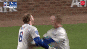 Chicago Cubs Hug GIF by TheDreamTeam 