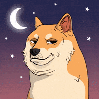 To The Moon Dog GIF by Doge Pound