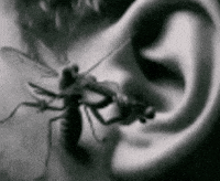 Mosquito GIF