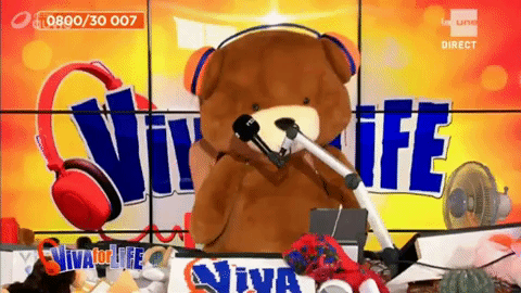 teddy viva for life GIF