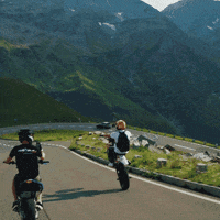 Bolddesignz  GIF