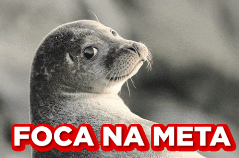 vamosseminovos giphyupload meta vendas foco GIF