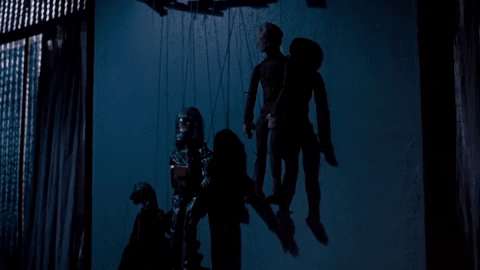 RandomUser1122 giphyupload GIF